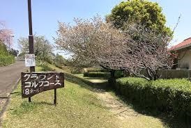 グランドゴルフ