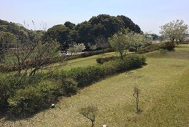 グランドゴルフ